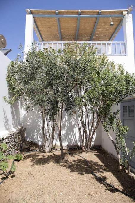 Beachfront 2Br Apartment - Free Parking Λιβάδι Εξωτερικό φωτογραφία